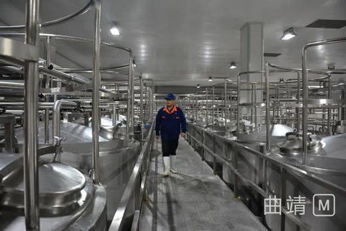 陸良2.8億投資項(xiàng)目順利進(jìn)入試生產(chǎn)階段，區(qū)域經(jīng)濟(jì)迎來發(fā)展新動(dòng)能